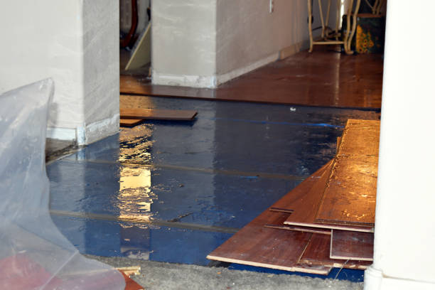 Professional Sewage Cleanup technician working in Danbury, WI